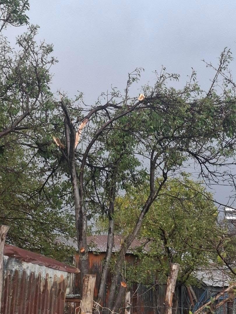 bingolde-firtina-catilari-ucurdu