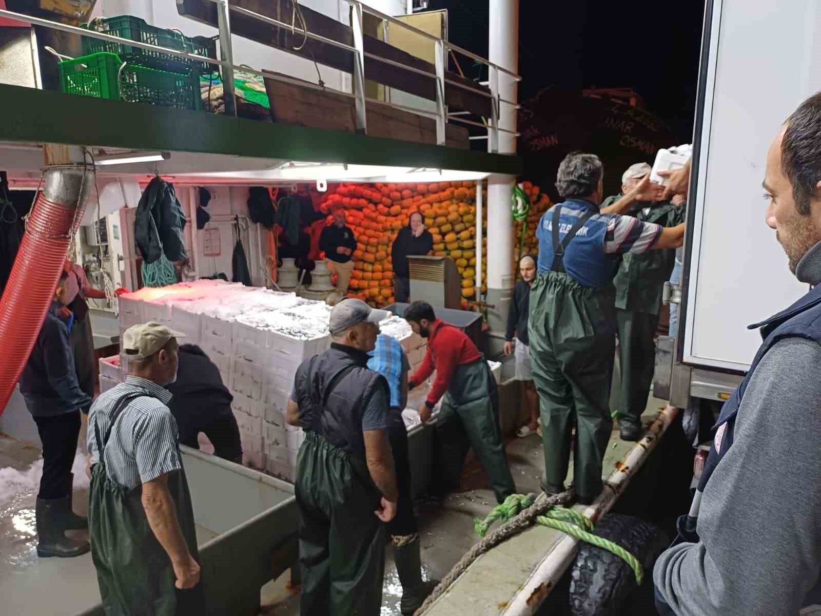 bir-ayda-198-ton-hamsi-cikisi-oldu