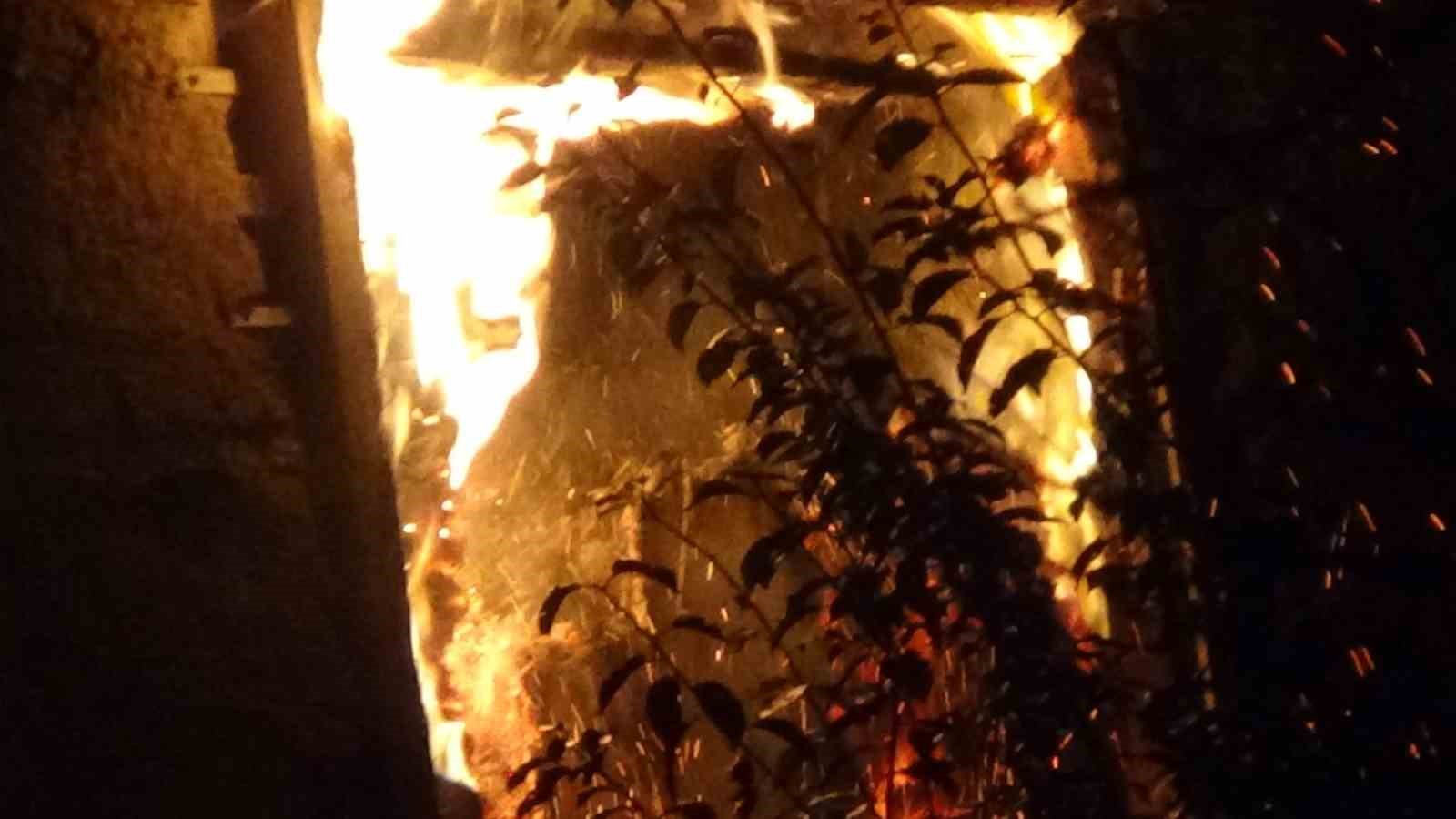 boluda-samanlik-alev-alev-yandi