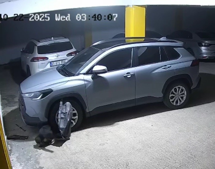 gercek-guvenlik-kamerasi-goruntulerini-izleyince-ortaya-cikti