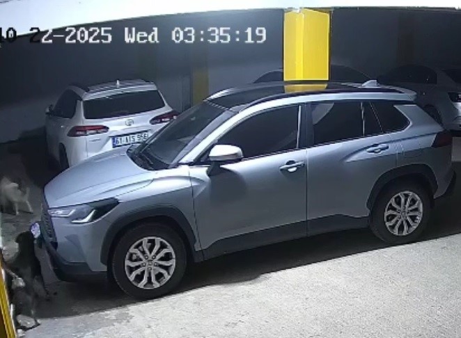 gercek-guvenlik-kamerasi-goruntulerini-izleyince-ortaya-cikti