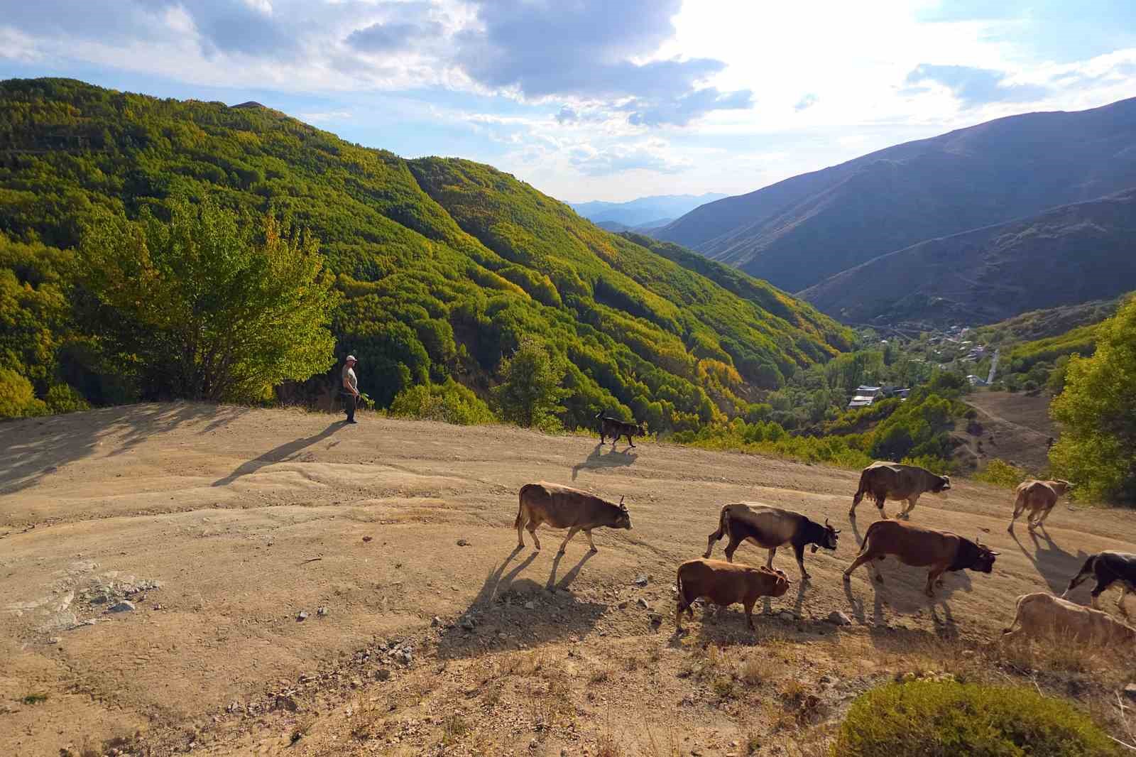 gumushanede-sonbahar-renkleri-kendini-gostermeye-basladi