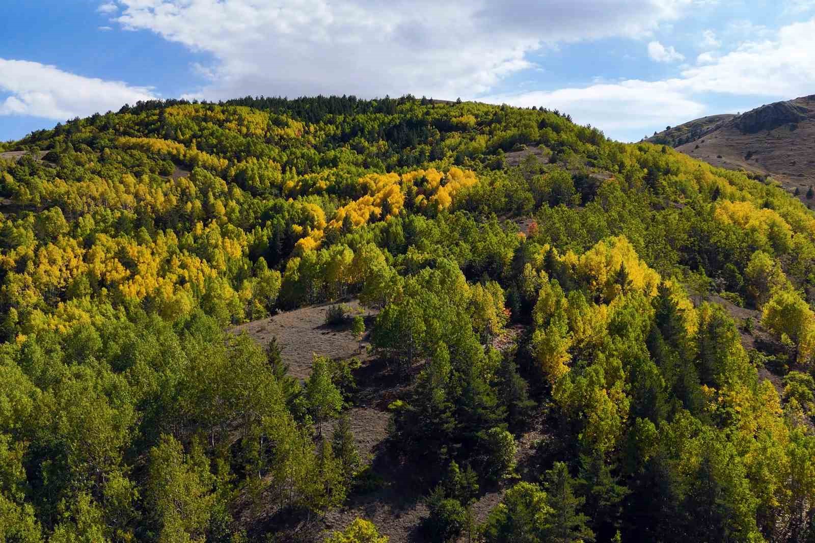 gumushanede-sonbahar-renkleri-kendini-gostermeye-basladi