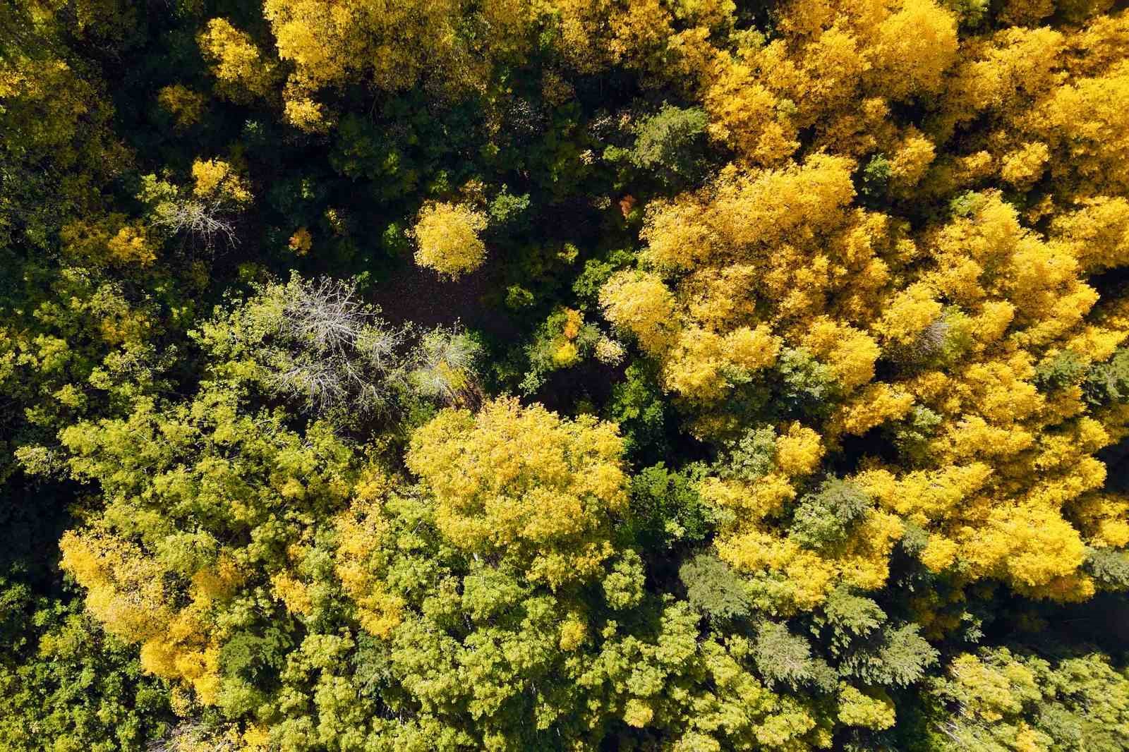 gumushanede-sonbahar-renkleri-kendini-gostermeye-basladi