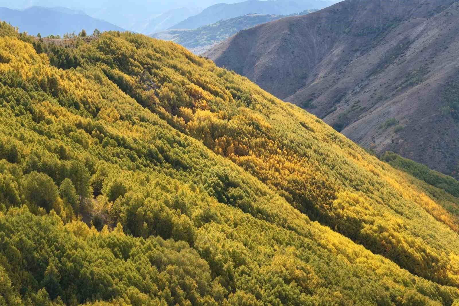 gumushanede-sonbahar-renkleri-kendini-gostermeye-basladi