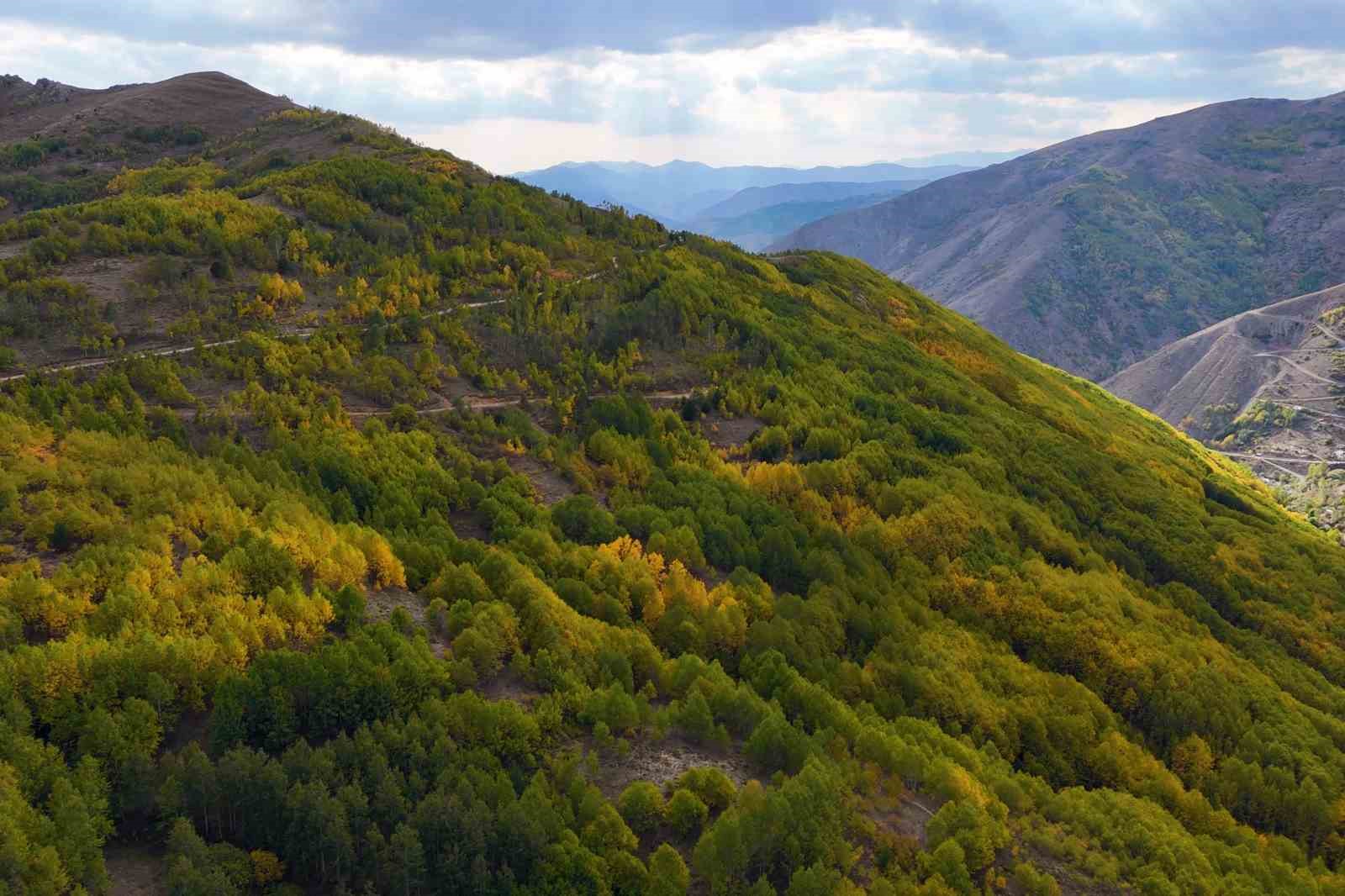 gumushanede-sonbahar-renkleri-kendini-gostermeye-basladi
