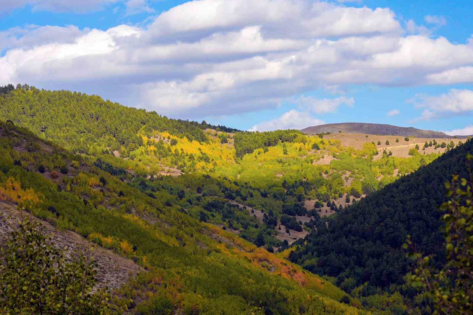 gumushanede-sonbahar-renkleri-kendini-gostermeye-basladi