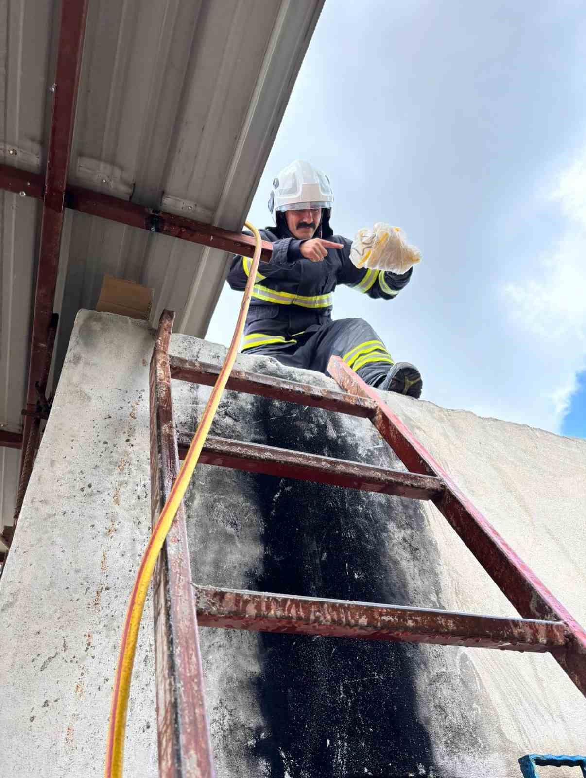 hatayda-eve-giren-2-yilani-itfaiye-yakaladi