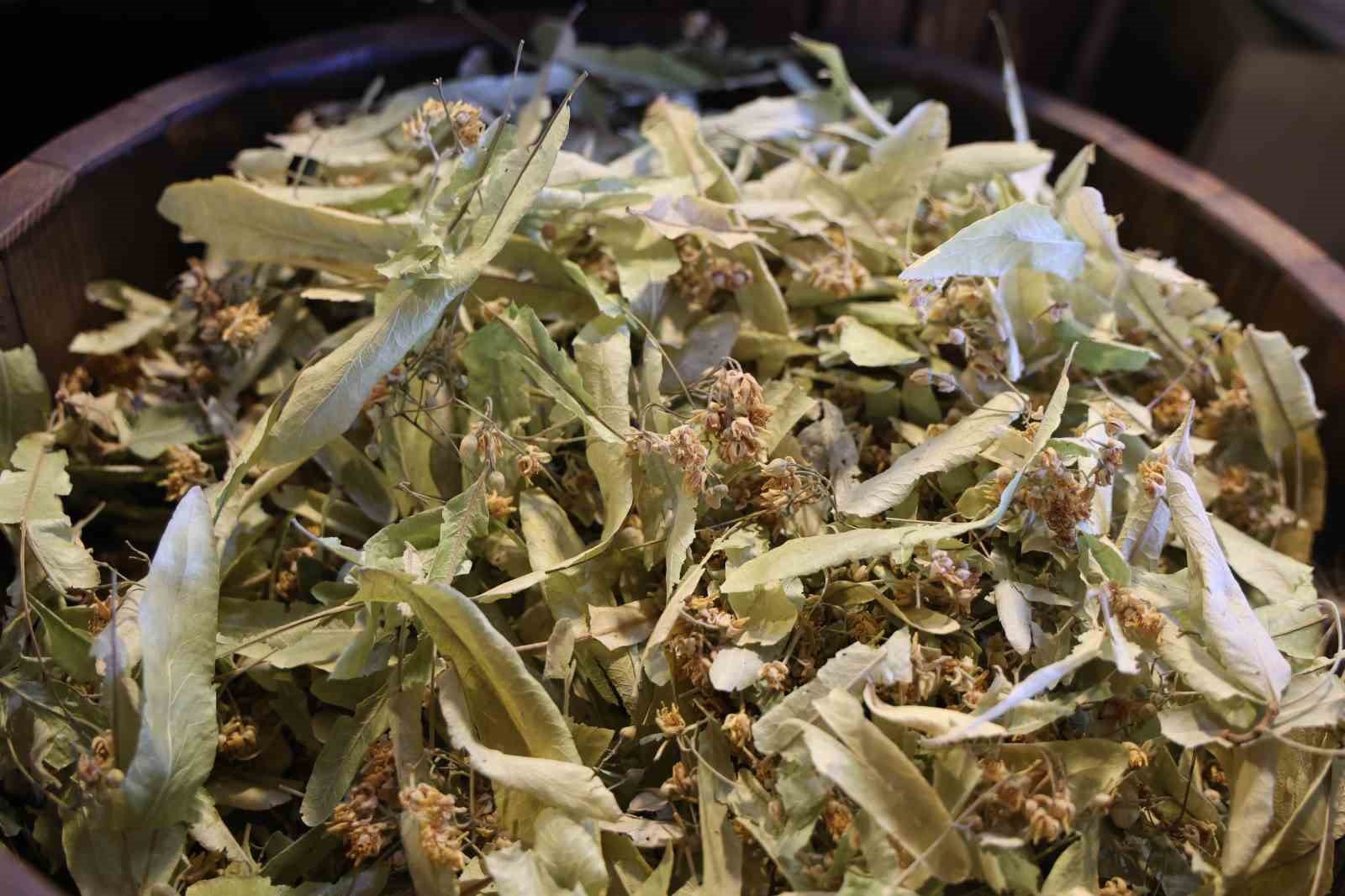 havalarin-sogumasiyla-birlikte-vatandaslar-bitkisel-urunlere-yoneldi