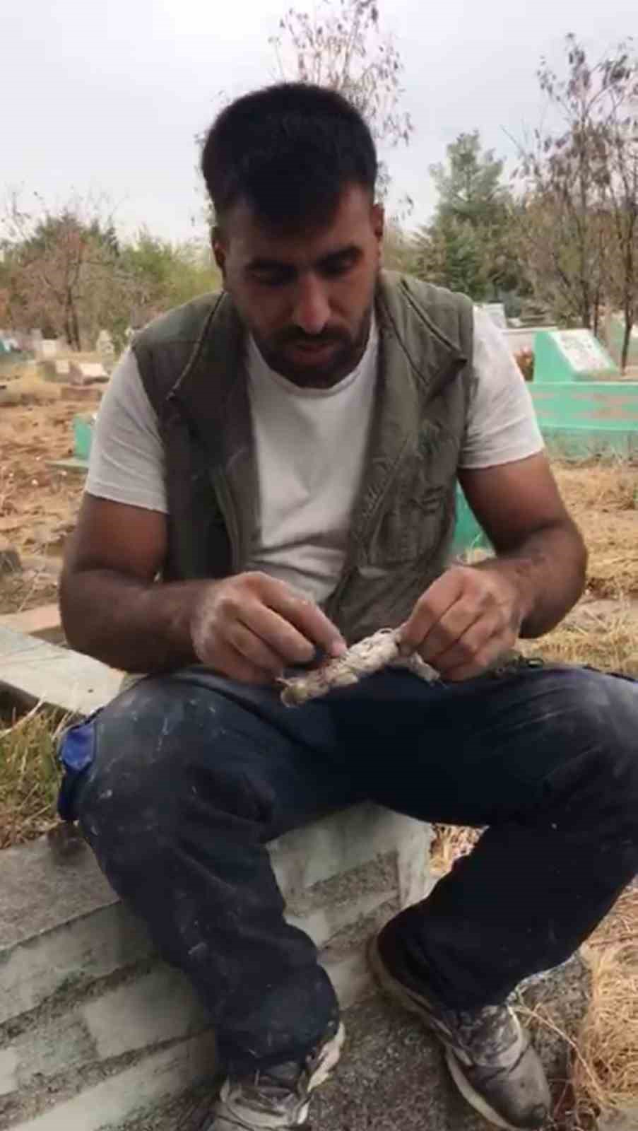 mezarliktan-kefenlenmis-oyuncak-bebek-cikti