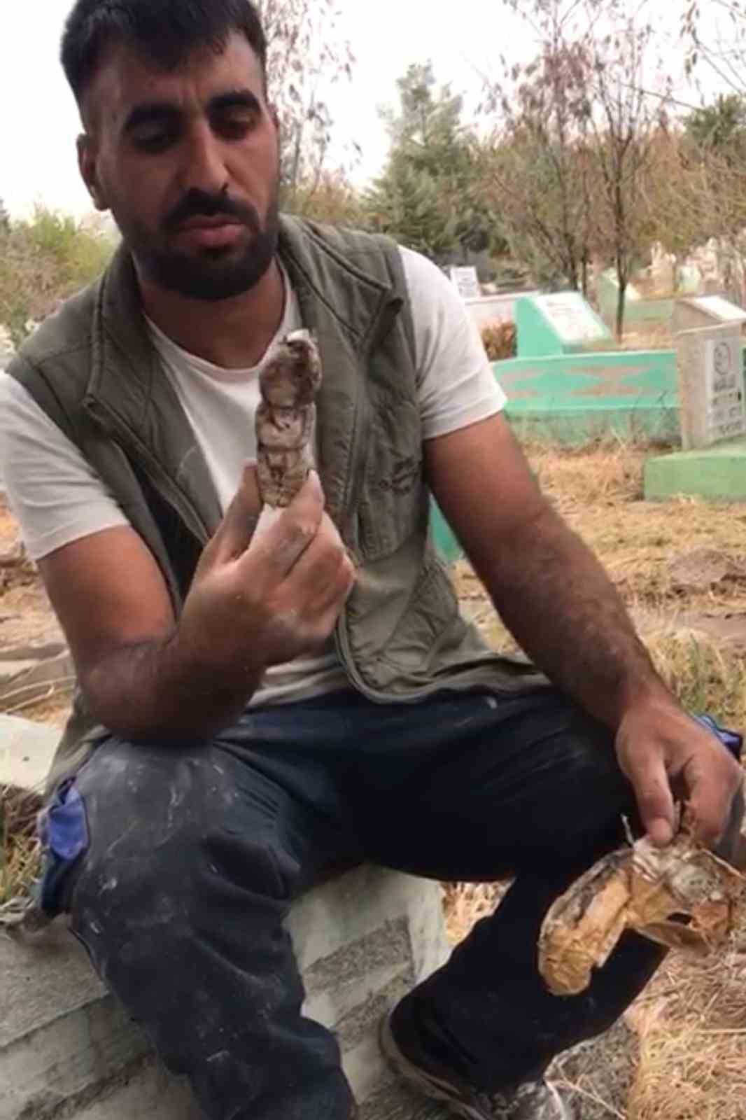 mezarliktan-kefenlenmis-oyuncak-bebek-cikti