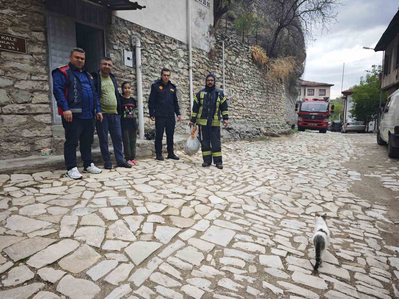 safranboluda-evin-catisinda-yaban-arisi-panigi