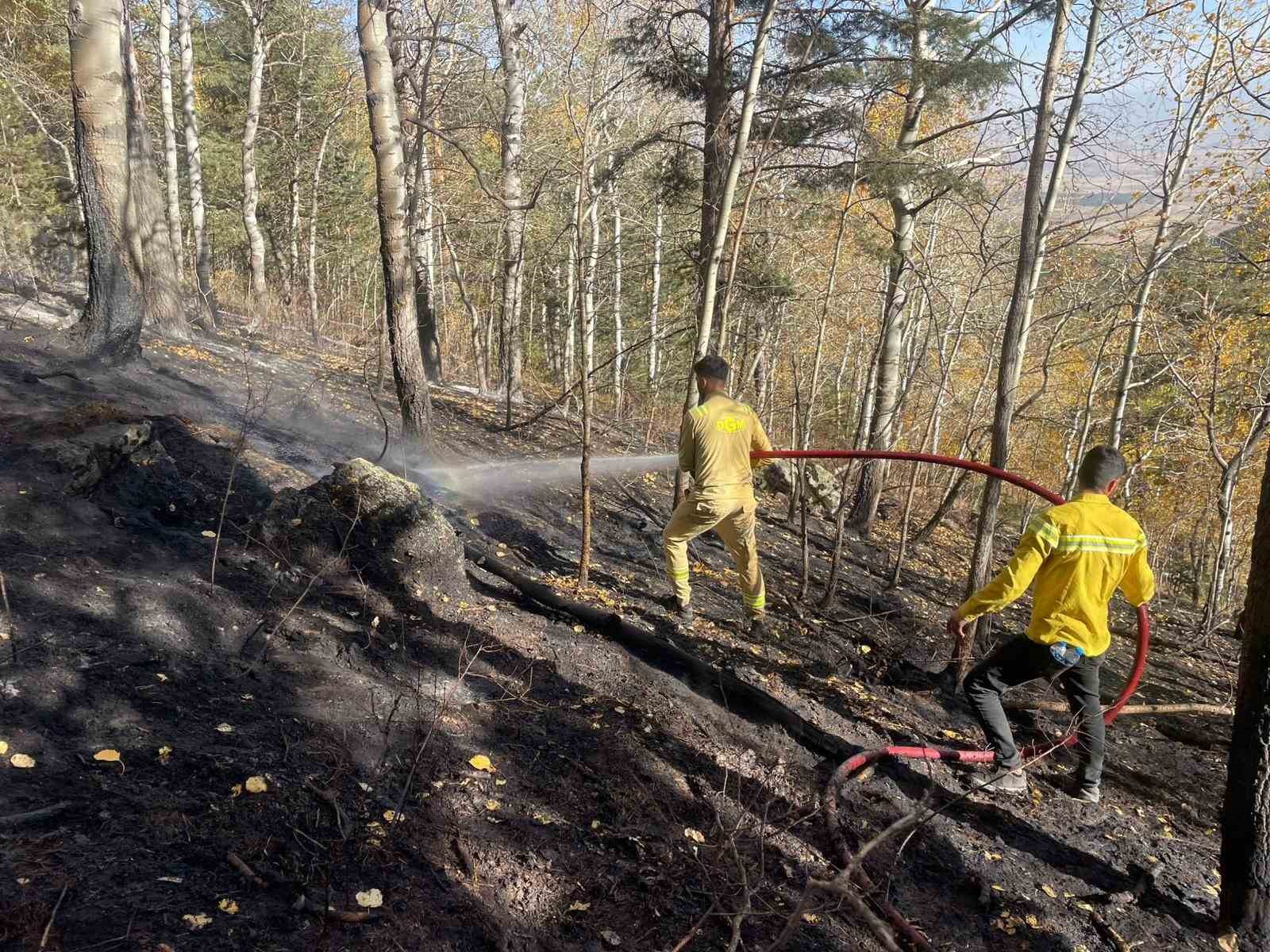 sarikamista-orman-yangini-2-hektar-alan-zarar-gordu