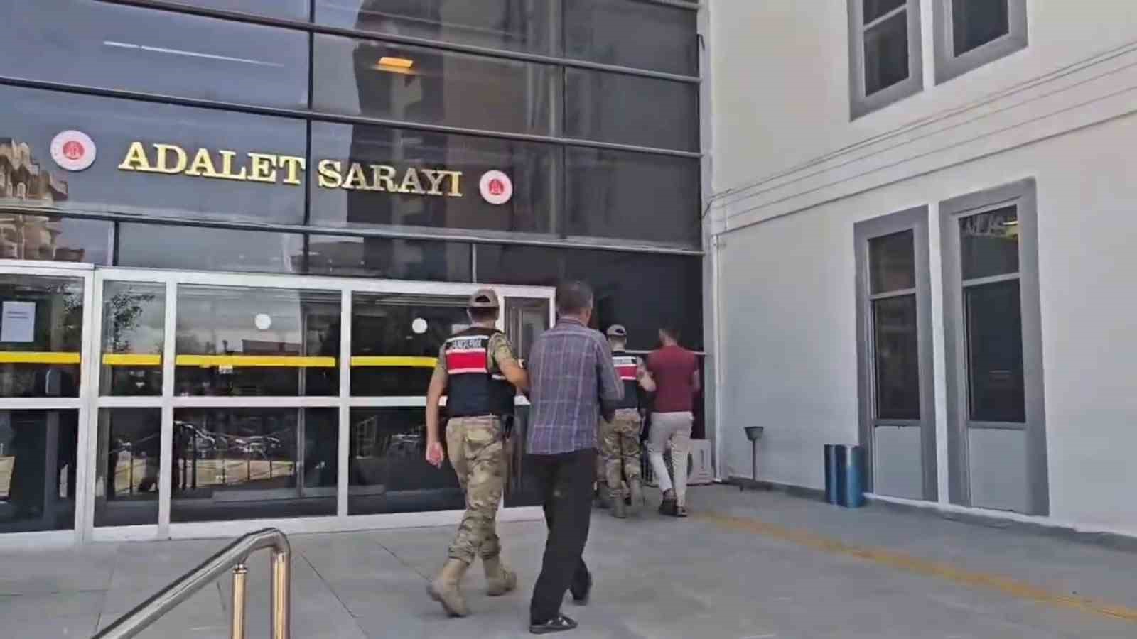 uyusturucu-tarlasinda-bin-876-kok-kenevir-ele-gecirildi-3-tutuklama