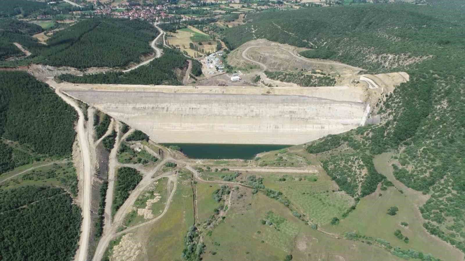 yok-olma-tehlikesi-bulunan-bag-havacivasi-bitkisi-baraj-sulari-altinda-kalmaktan-kurtarildi