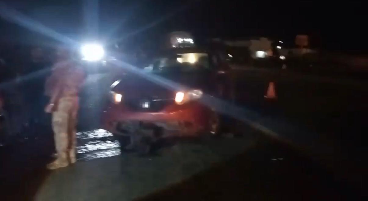 yolda-dogum-yapan-manda-yavrusuyla-otomobil-altinda-kalarak-telef-oldu