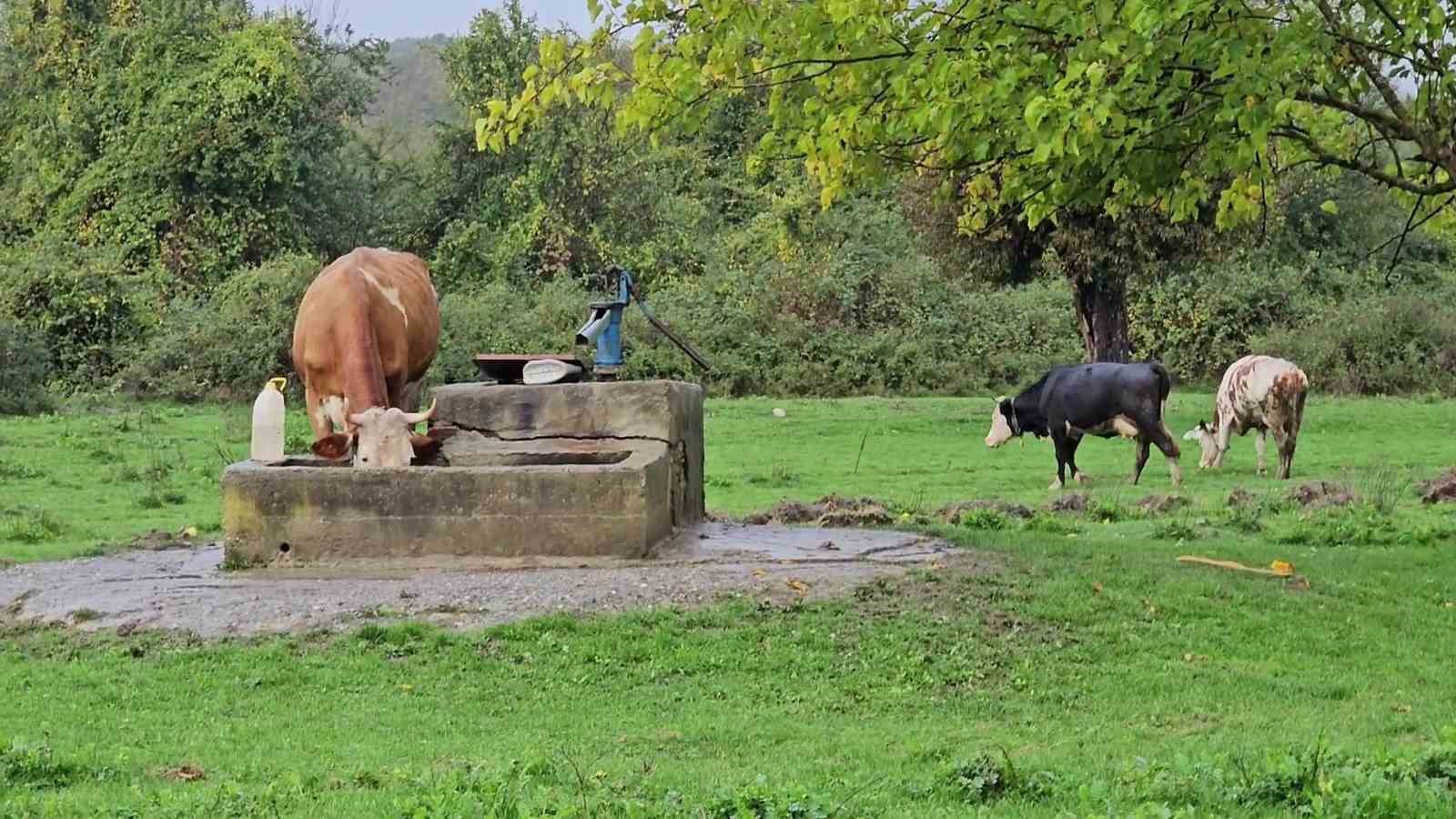 zonguldakta-su-kuyusunda-kadin-cesedi-bulundu