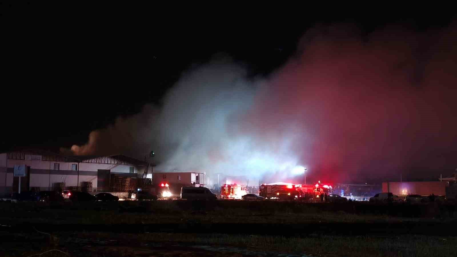 antalyada-paketleme-fabrikasi-alev-alev-yandi