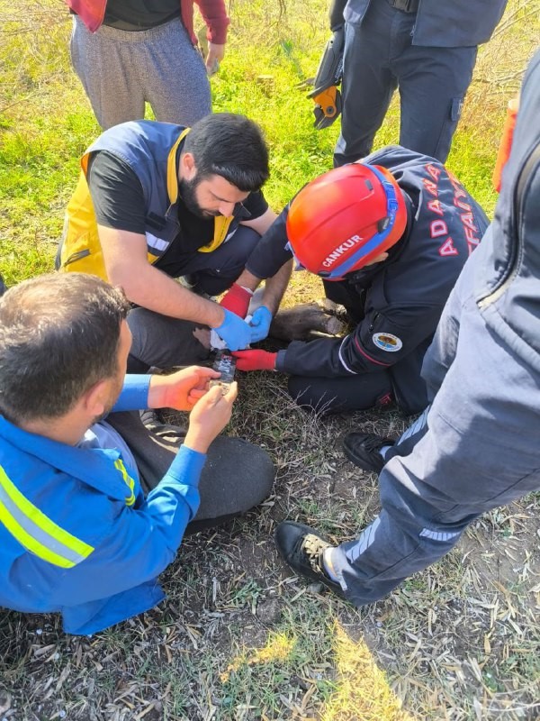 ayagi-motorlu-testereye-sikisan-sahsi-itfaiye-ekipleri-kurtardi