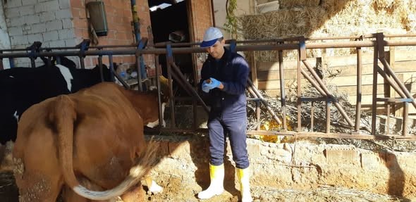 aydinda-sap-hastaligina-karsi-asilama-calismalari-suruyor