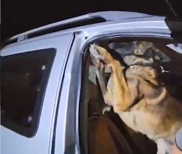 bitlisteki-uyusturucu-operasyonunda-1-kisi-tutuklandi