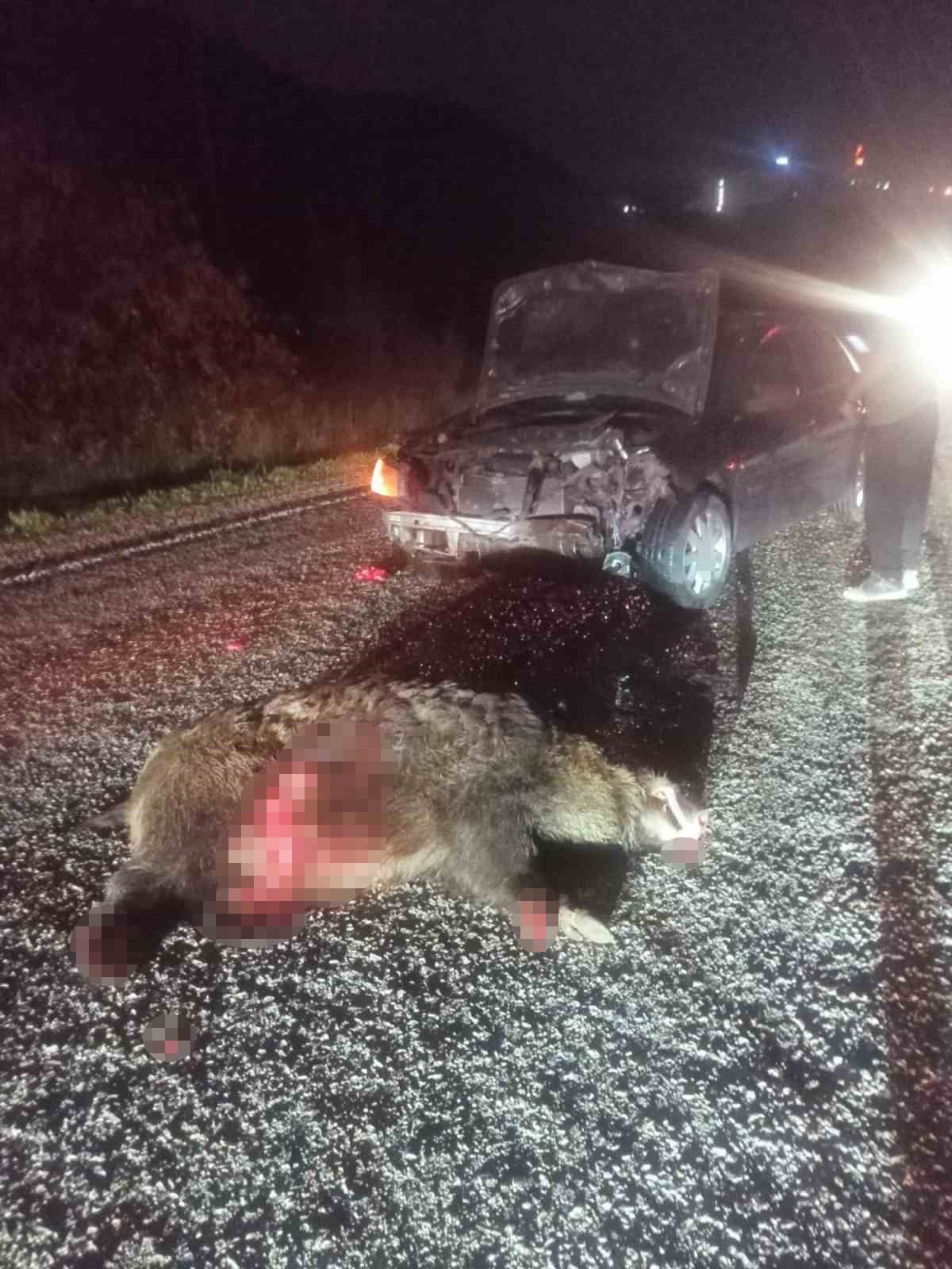 boluda-domuza-carpan-otomobil-hurdaya-dondu-1-yarali