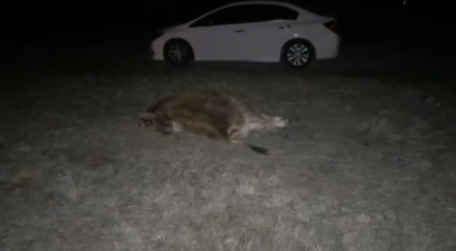 corumda-otomobil-yola-cikan-danaya-carpti-2-yarali