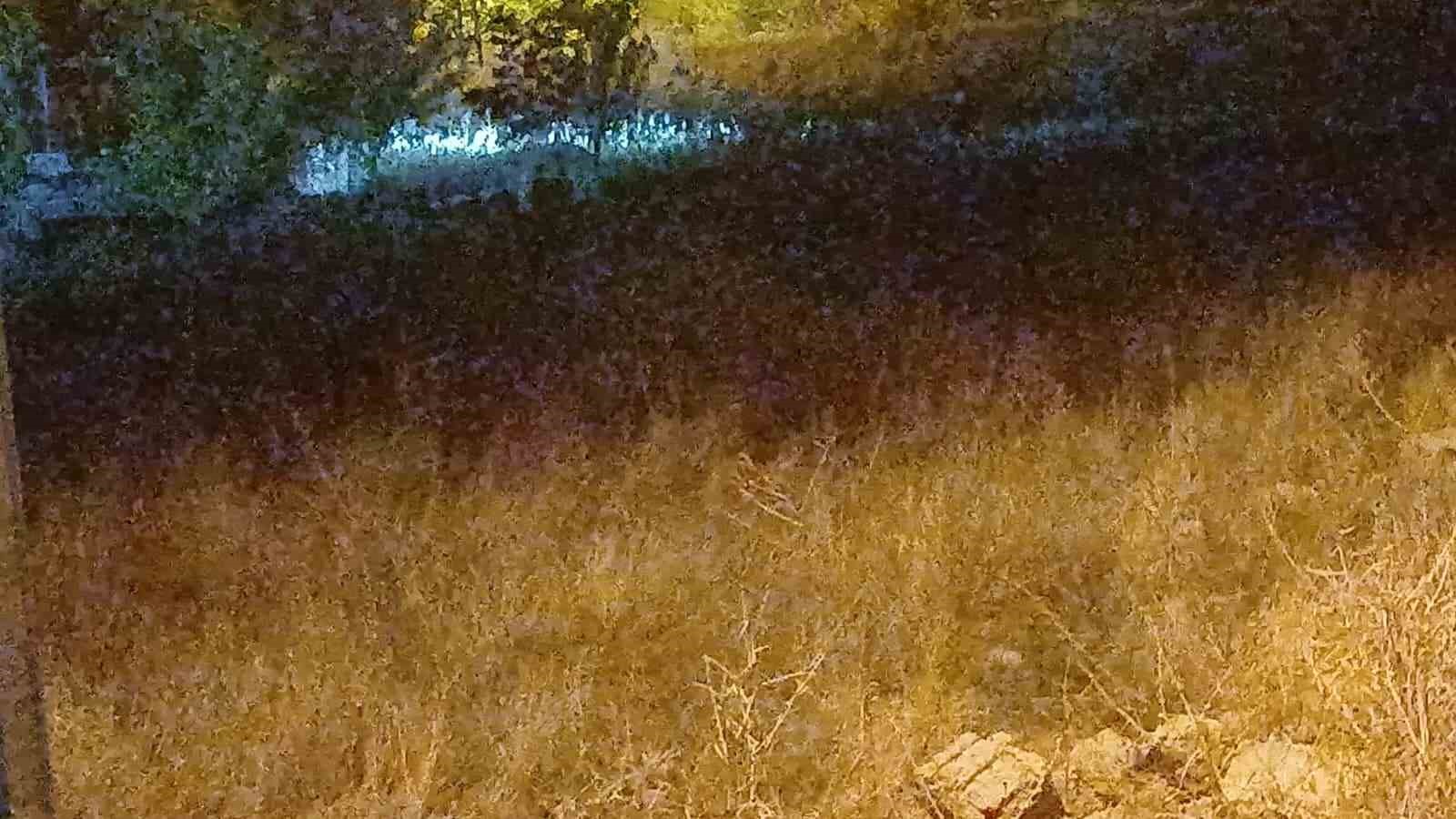 elazigda-kayip-otizmli-cocugu-arama-calismalari-72-saatte-de-gece-boyunca-suruyor