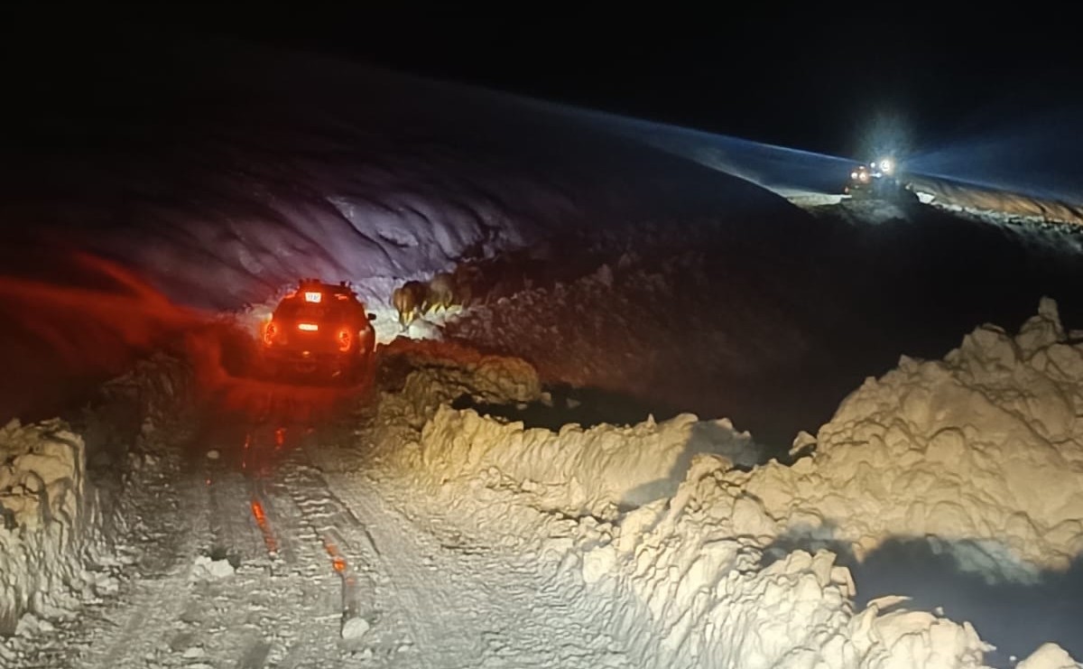 hakkaride-3-gunluk-kurtarma-operasyonunda-mutlu-son-binmizit-yaylasindaki-hayvanlar-kurtarildi