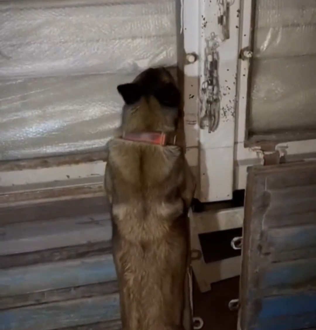 hakkaride-87-kilo-500-gram-uyusturucu-ele-gecirildi