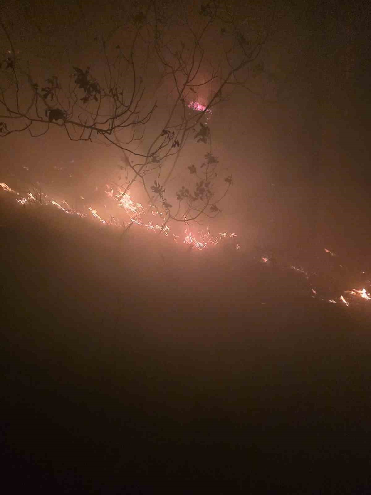 hatayda-yildirim-dusmesiyle-cikan-orman-yangina-mudahale-devam-ediyor