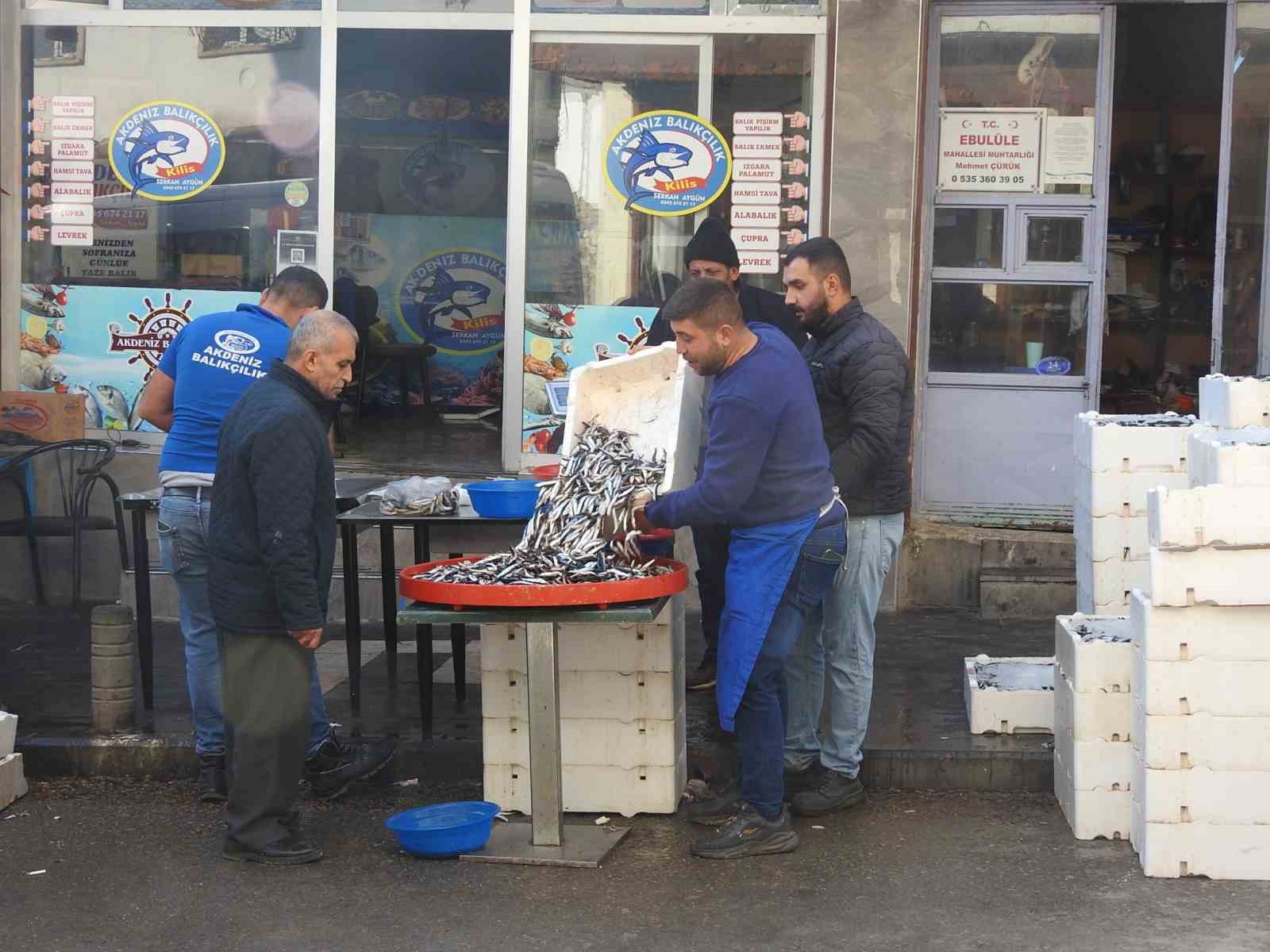 karadenizdeki-bolluk-balik-fiyatlarini-dusurdu-kiliste-hamsi-100-liraya-indi