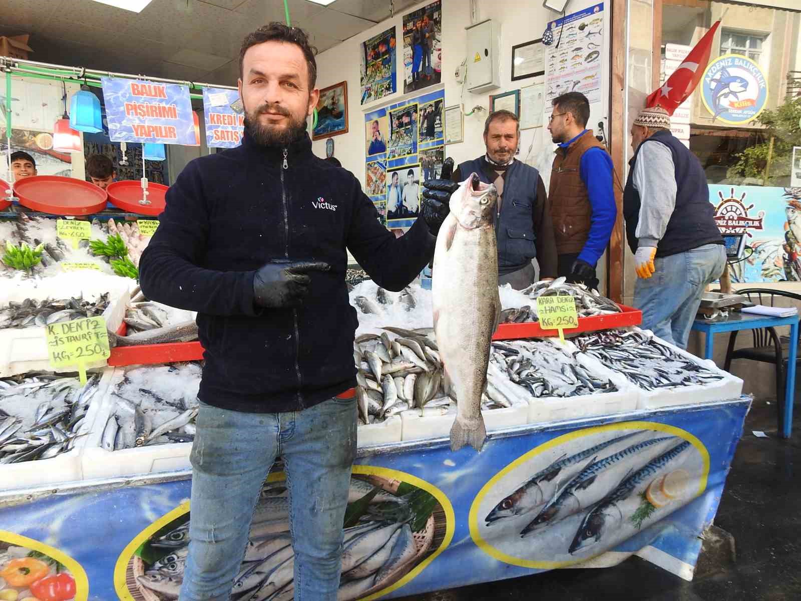 karadenizdeki-bolluk-balik-fiyatlarini-dusurdu-kiliste-hamsi-100-liraya-indi