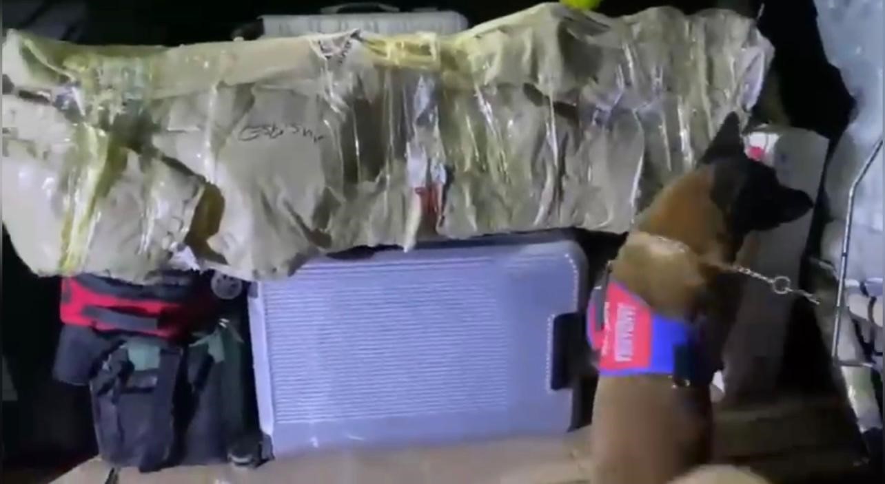 osmaniyede-bal-kabagindan-uyusturucu-cikti