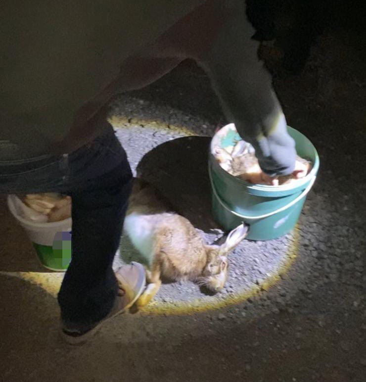 tekirdagda-gece-avina-baskin-4-kisiye-ceza