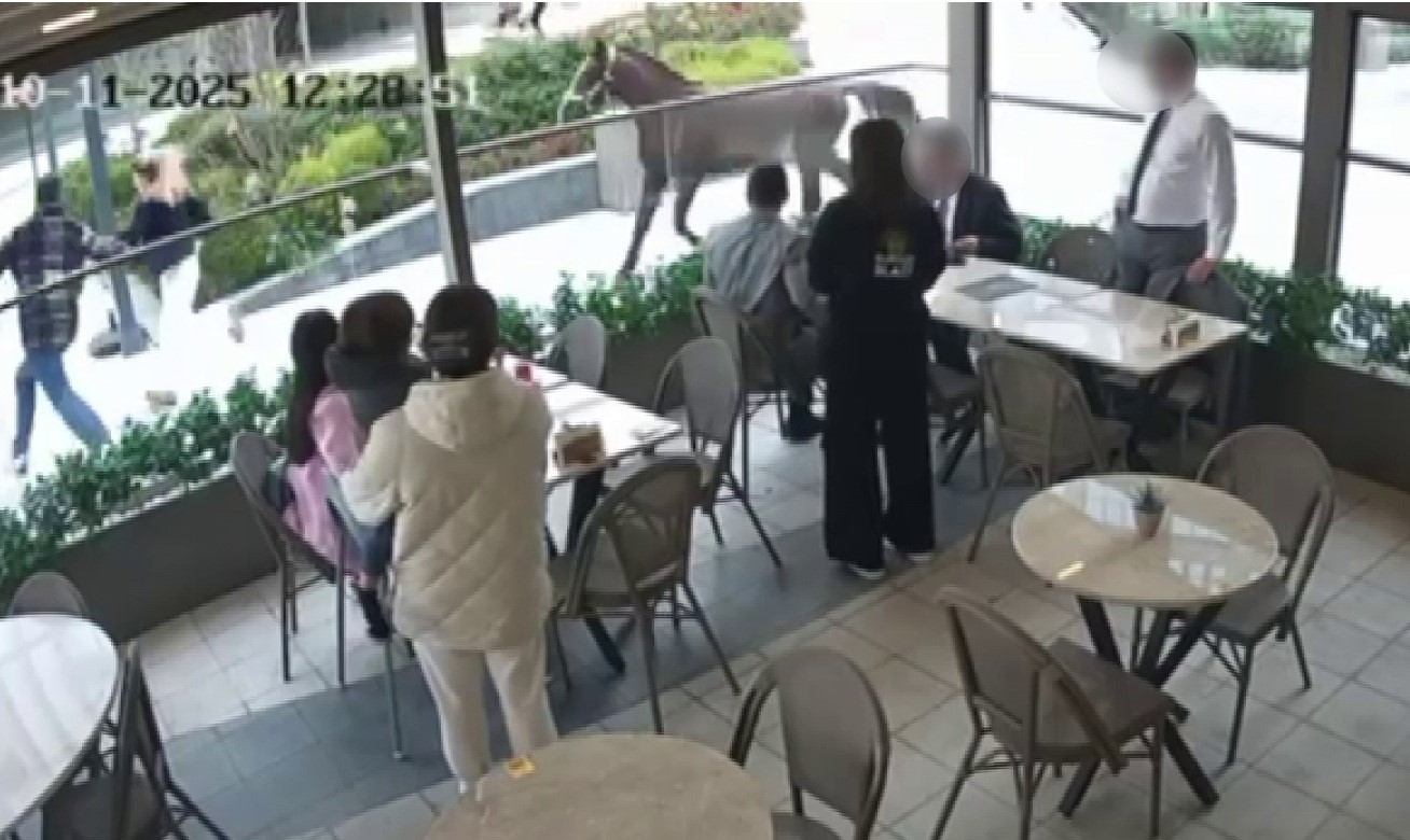 umraniyede-garip-olay-basibos-at-vatandaslari-dakikalarca-kovaladi