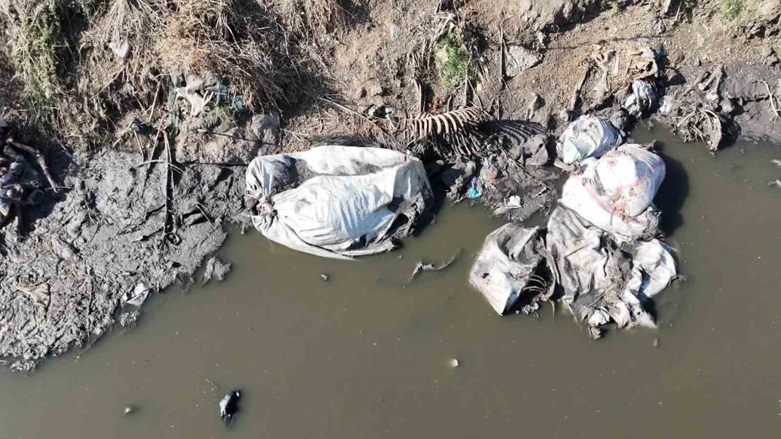 adanada-dere-yatagina-yine-at-ve-esek-kalintilari-atildi-mahalle-sakinleri-tepki-gosterdi