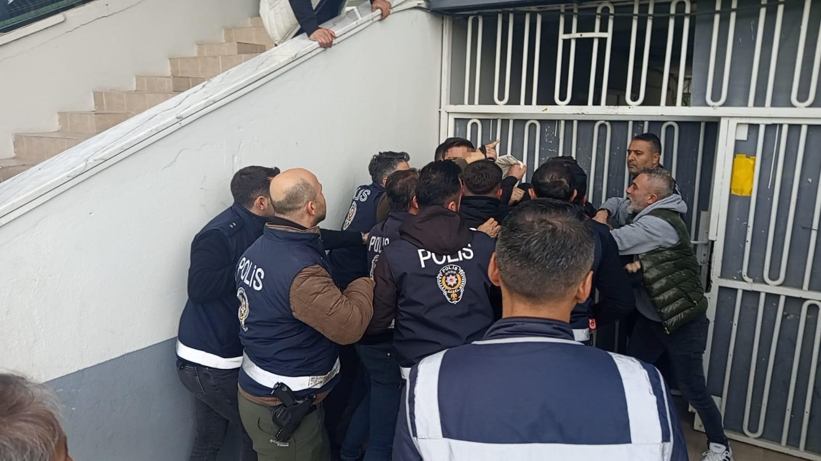 amator-macta-arbede-2-gozalti