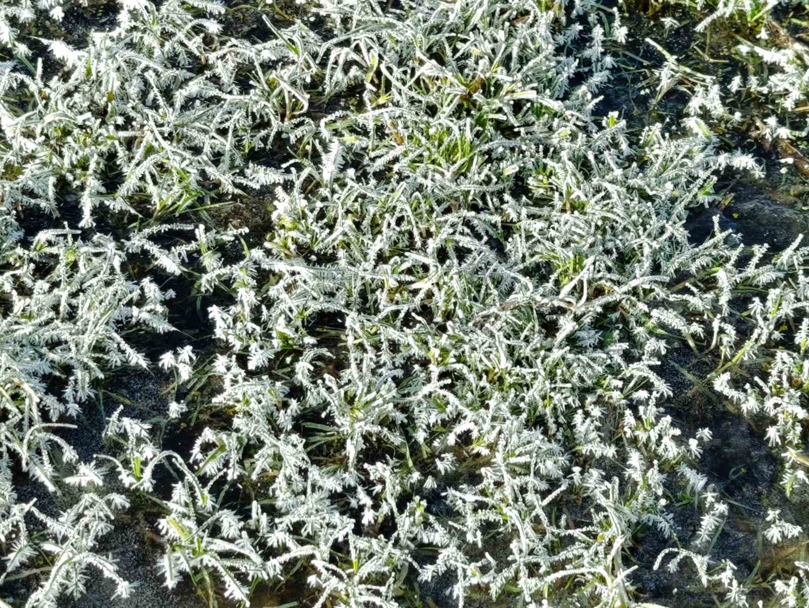 kars-buz-kesti-dondurucu-soguklar-hayati-olumsuz-etkiliyor