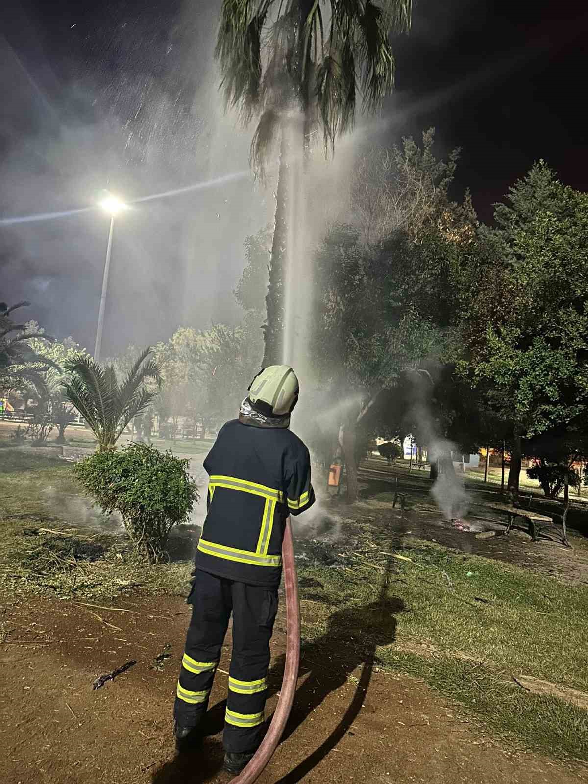 mardinde-15-yillik-palmiye-agacini-atese-verdiler