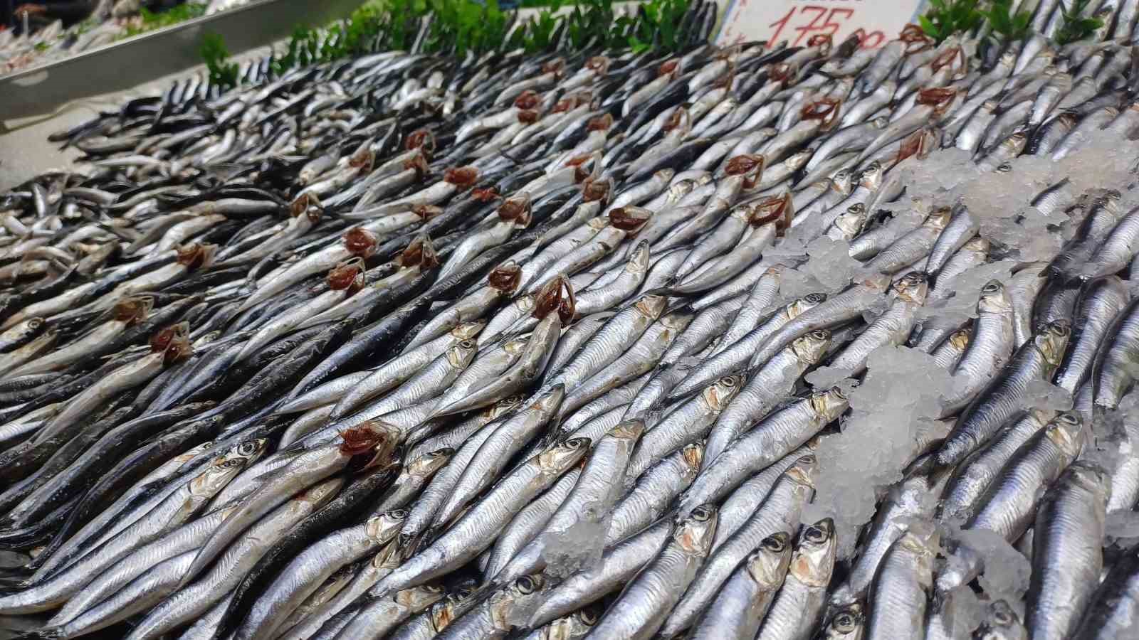 tezgahlarda-palamut-yok-hamsi-cok