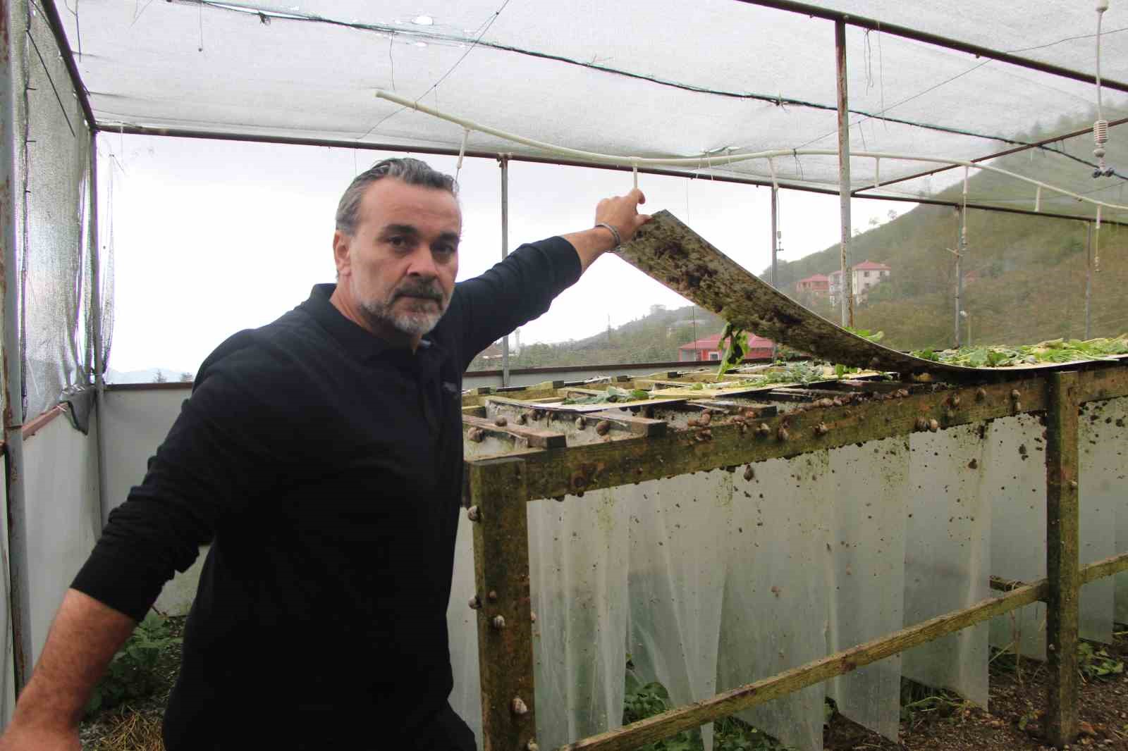 trabzondan-dunyaya-googlis