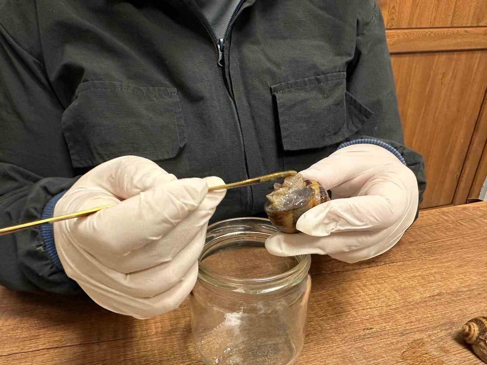 trabzondan-dunyaya-googlis