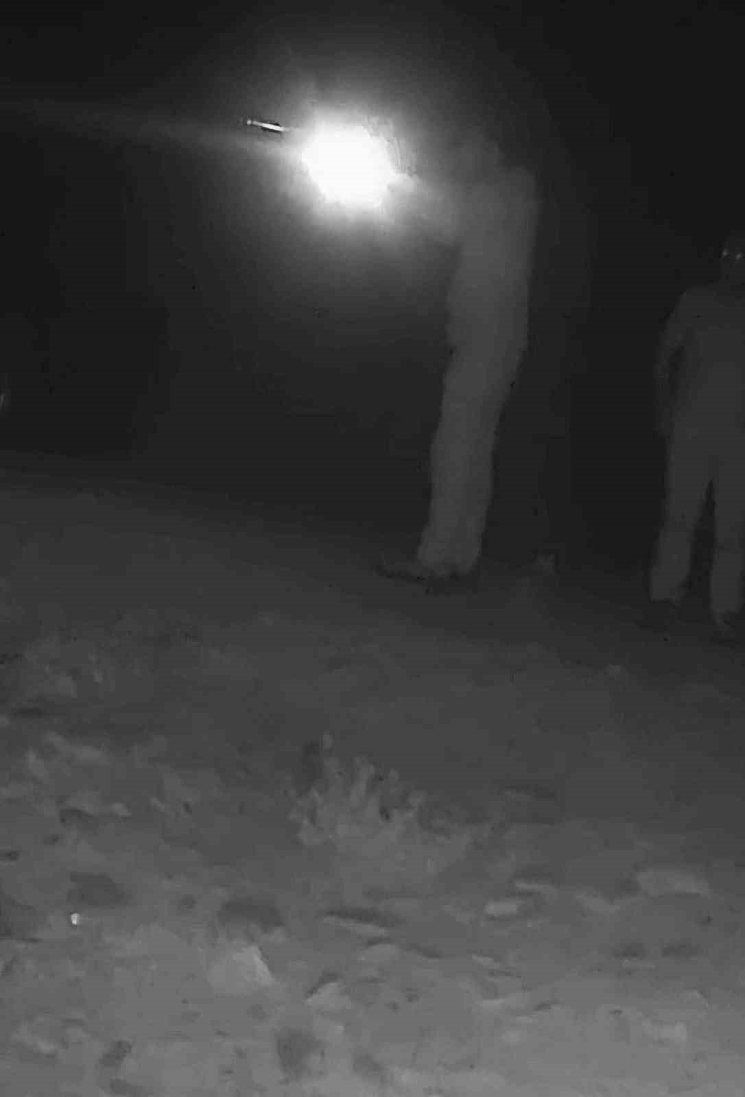 boz-ayi-avlayan-iki-avci-fotokapana-yakalandi