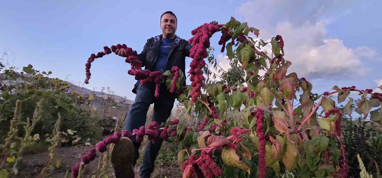 dogunun-sogugunda-sicak-iklim-meyveleri-yetistirdi