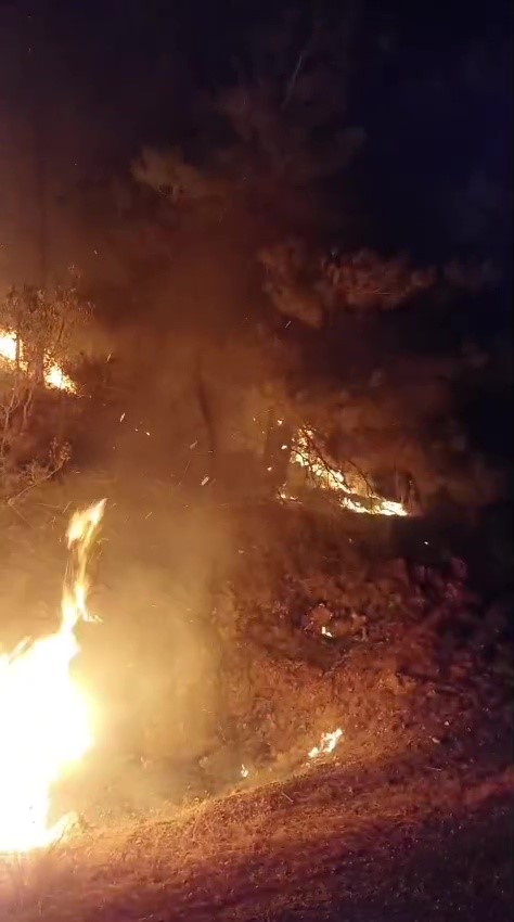 gazipasada-ormanlik-alanda-yangin