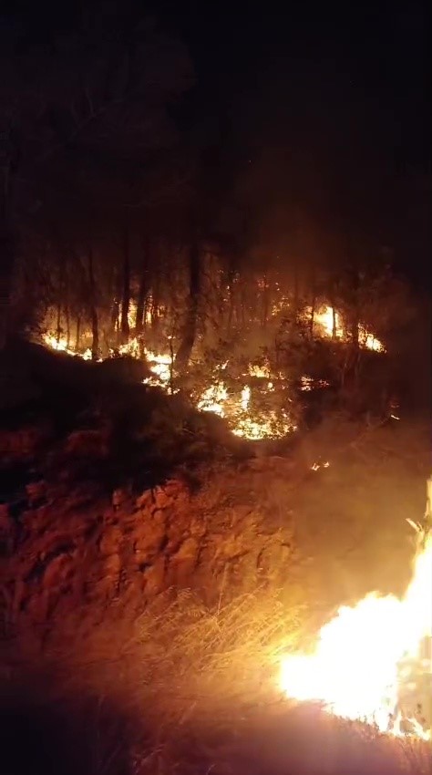 gazipasada-ormanlik-alanda-yangin