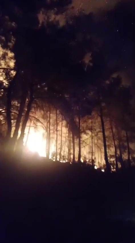 gazipasada-ormanlik-alanda-yangin