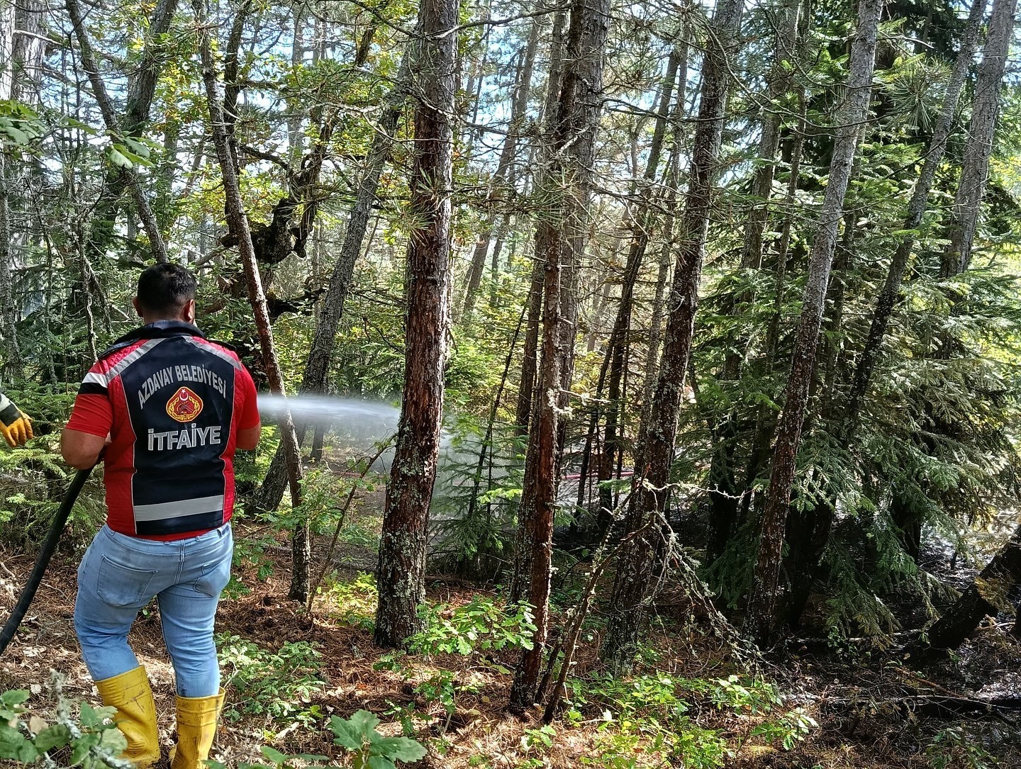 kastamonuda-ormanlik-alanda-cikan-yangin-ekiplerin-mudahalesiyle-sonduruldu