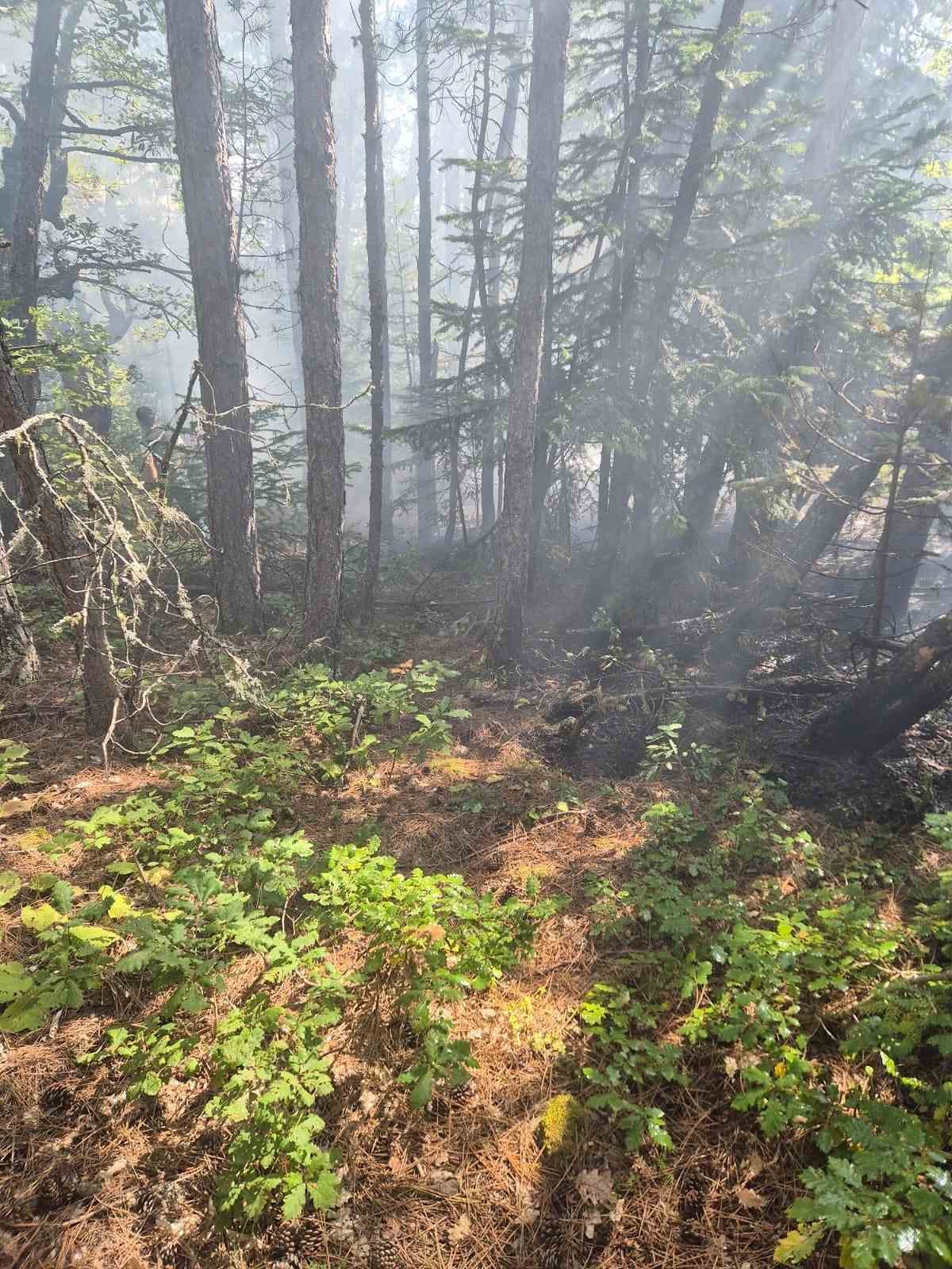 kastamonuda-ormanlik-alanda-cikan-yangin-ekiplerin-mudahalesiyle-sonduruldu